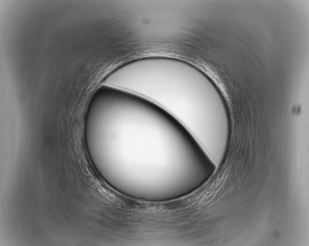 X0000099930385200805231004