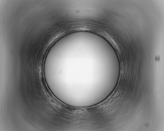 X0000099930386200805231004
