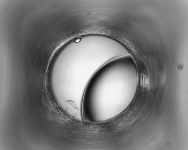 X0000099930388200805231004