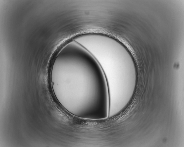 X0000099930391200805231004