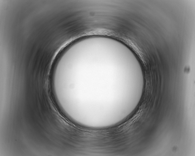 X0000099930392200805231004