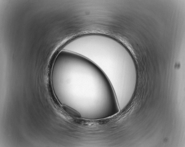 X0000099930395200805231004