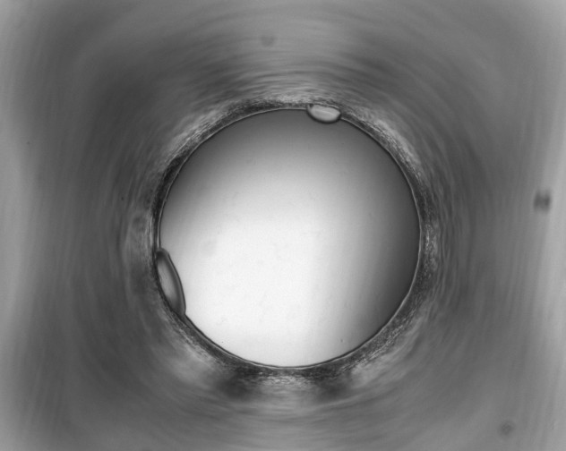 X0000099930397200805231004