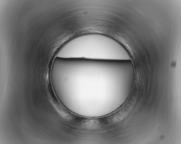 X0000099930398200805231004