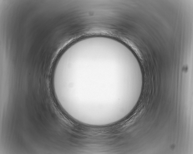 X0000099930399200805231003