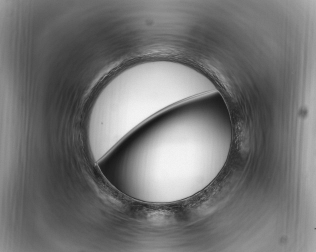 X0000099930400200805231003