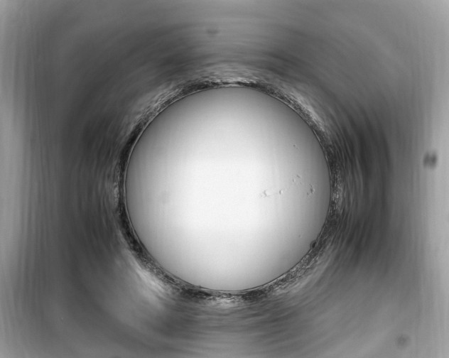 X0000099930402200805231003
