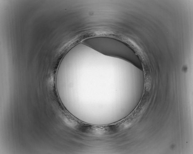 X0000099930405200805231003
