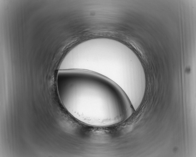 X0000099930407200805231003