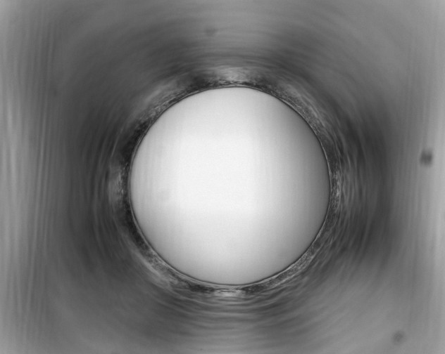 X0000099930410200805231003