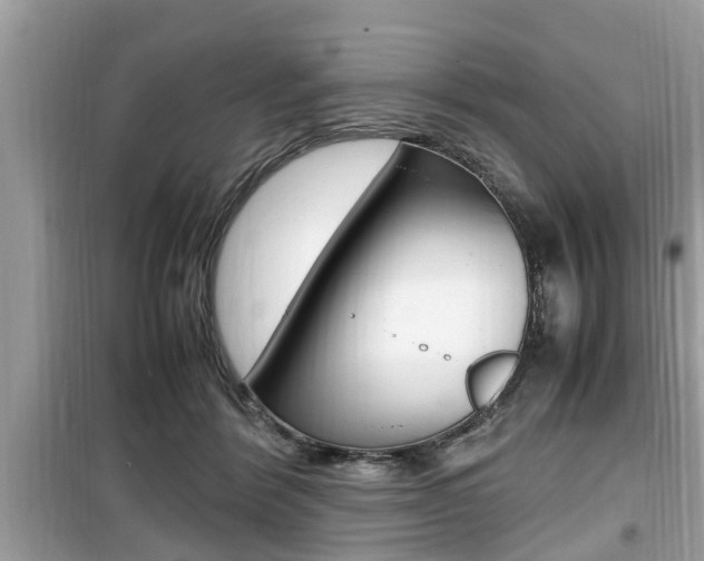 X0000099930412200805231003