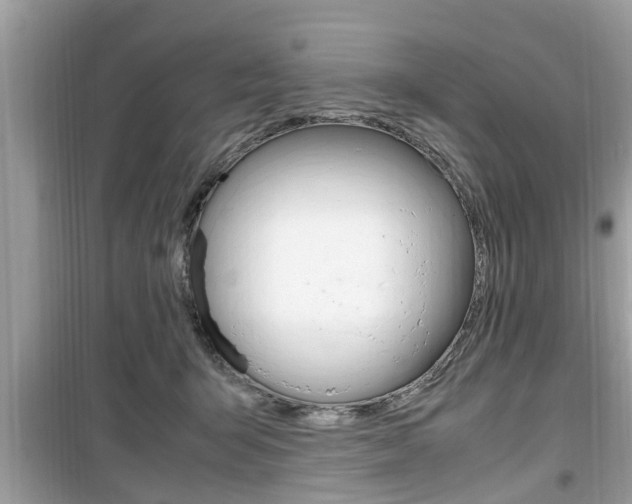 X0000099930415200805231003