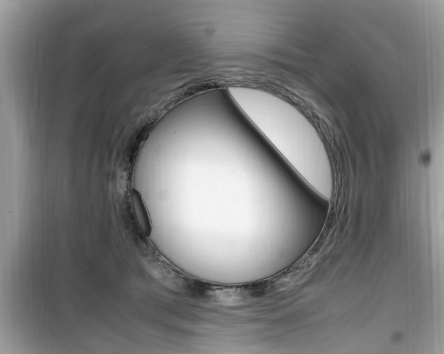 X0000099930417200805231003