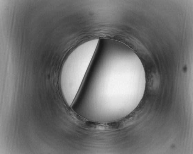 X0000099930420200805231003