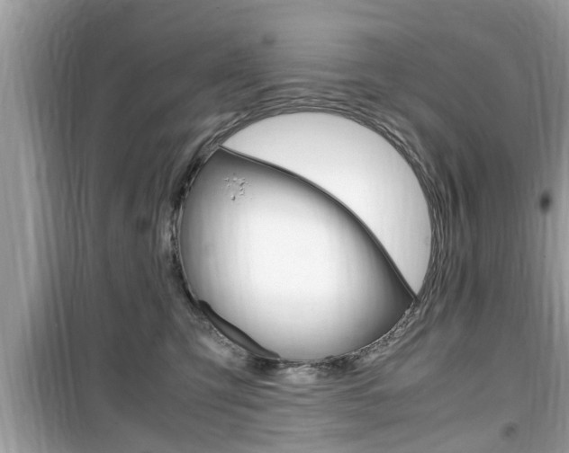X0000099930423200805231003