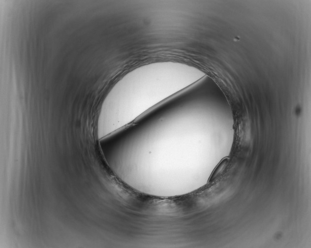 X0000099930424200805231003