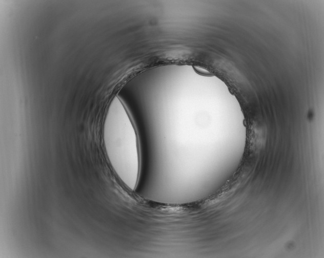 X0000099930428200805231003