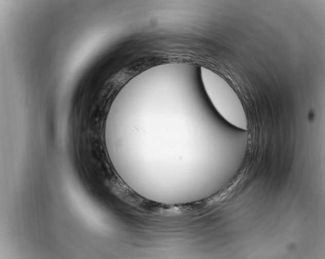 X0000099930430200805231003