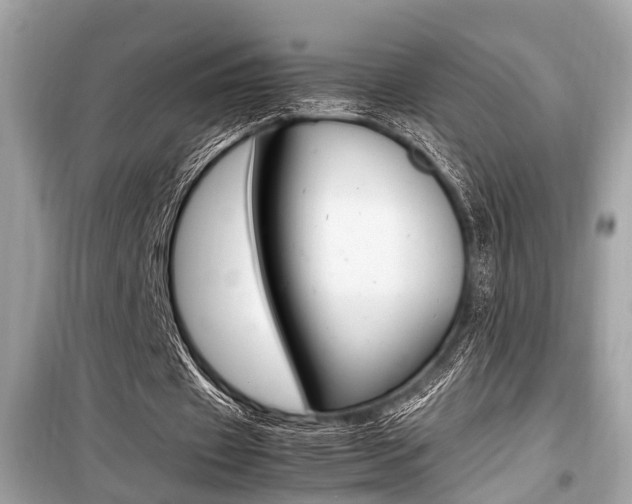 X0000099930433200805231002