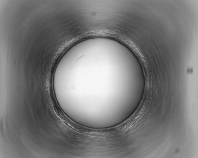 X0000099930434200805231002