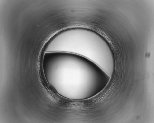 X0000099930436200805231002