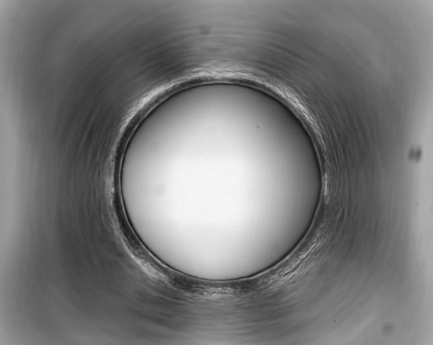 X0000099930438200805231003
