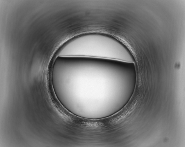 X0000099930439200805231003