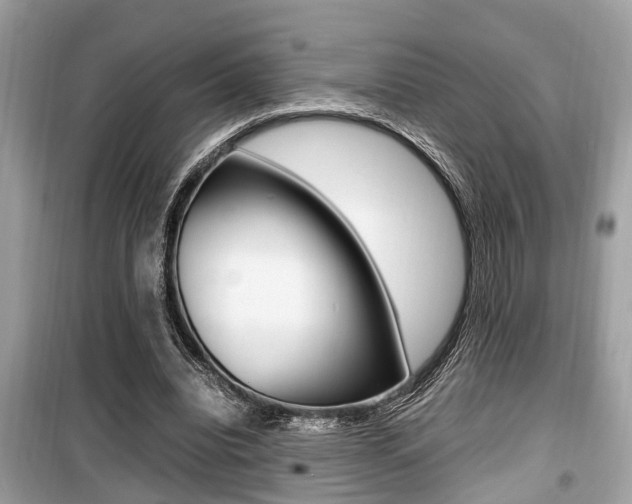X0000099930440200805231003