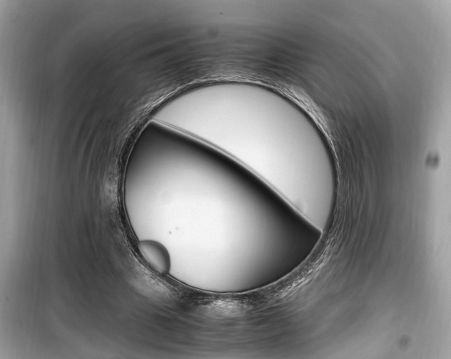X0000099930441200805231003