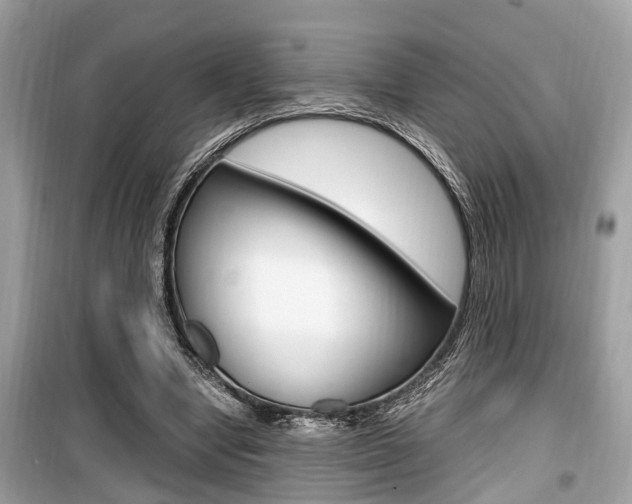 X0000099930442200805231003