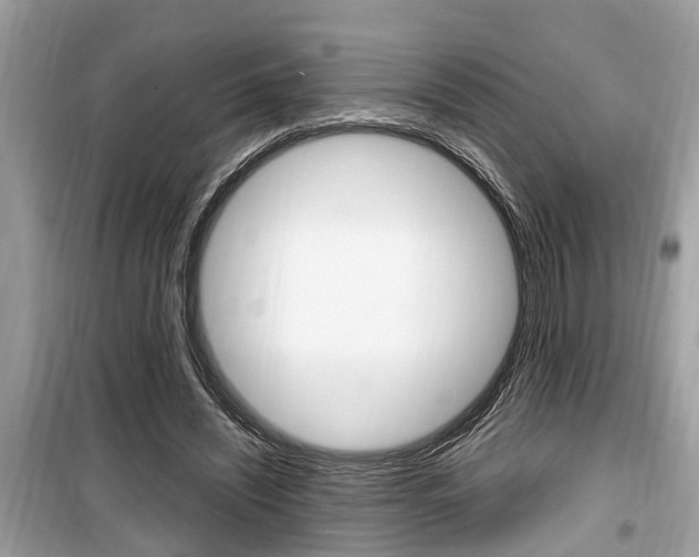 X0000099930444200805231003