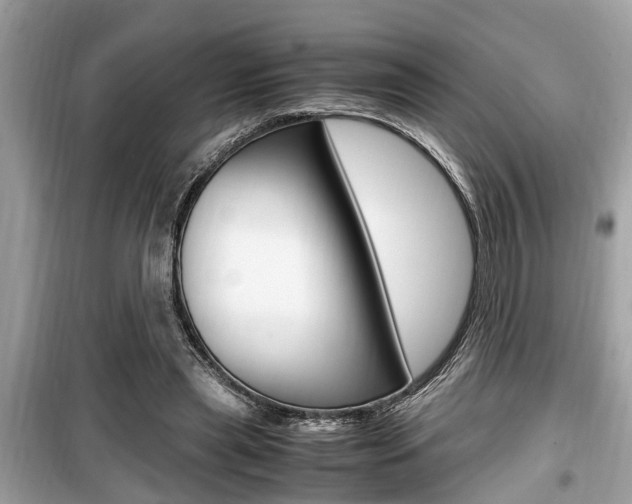 X0000099930445200805231003