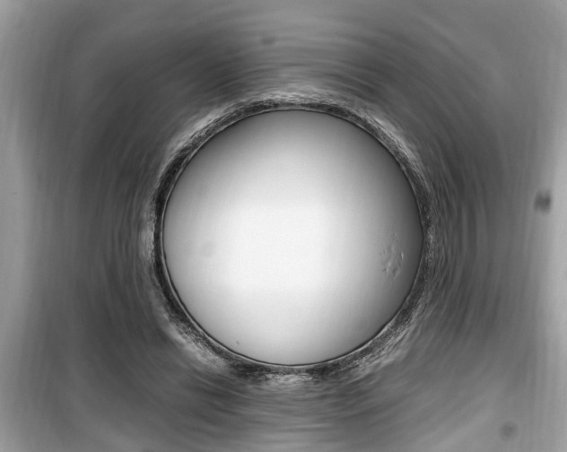 X0000099930446200805231003