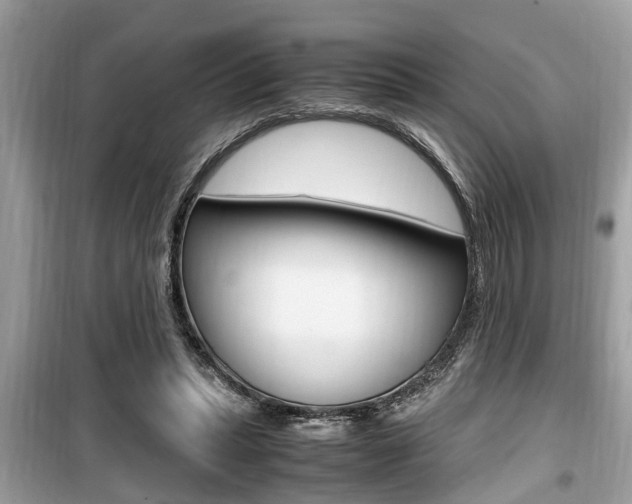 X0000099930447200805231003