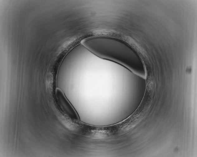 X0000099930448200805231003