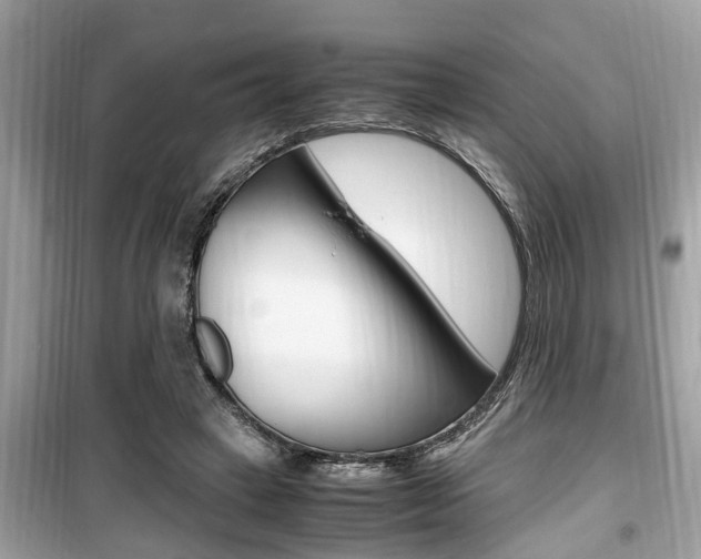 X0000099930449200805231003