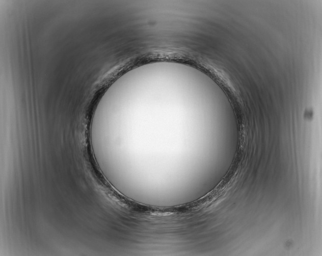 X0000099930450200805231003