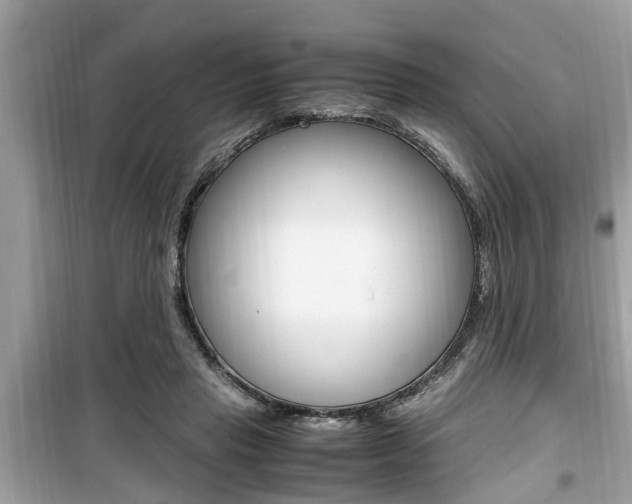 X0000099930453200805231003