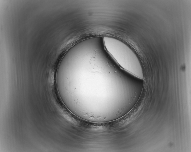 X0000099930454200805231003