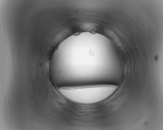 X0000099930473200805231003