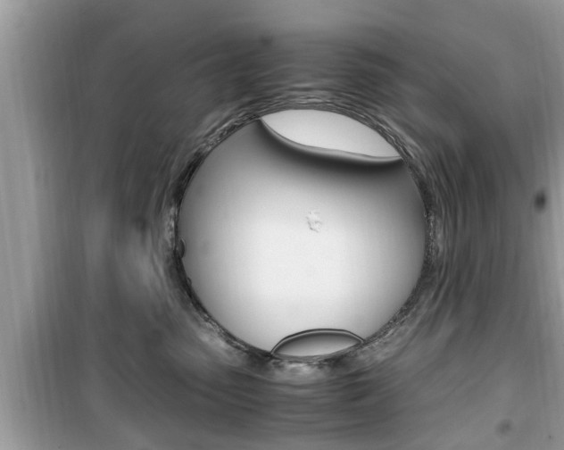 X0000099930475200805231003