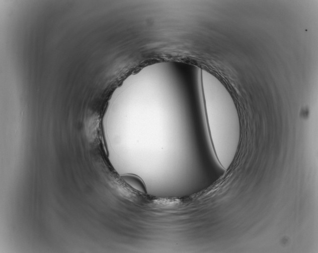X0000099930480200805231003