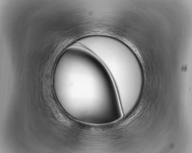 X0000099930481200805231002