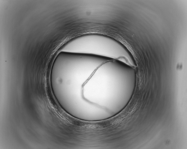X0000099930482200805231002