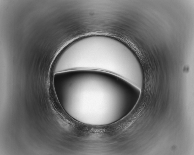 X0000099930484200805231002