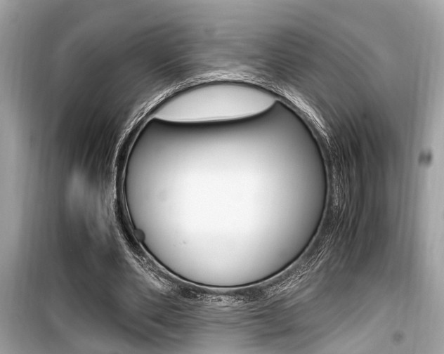 X0000099930486200805231002