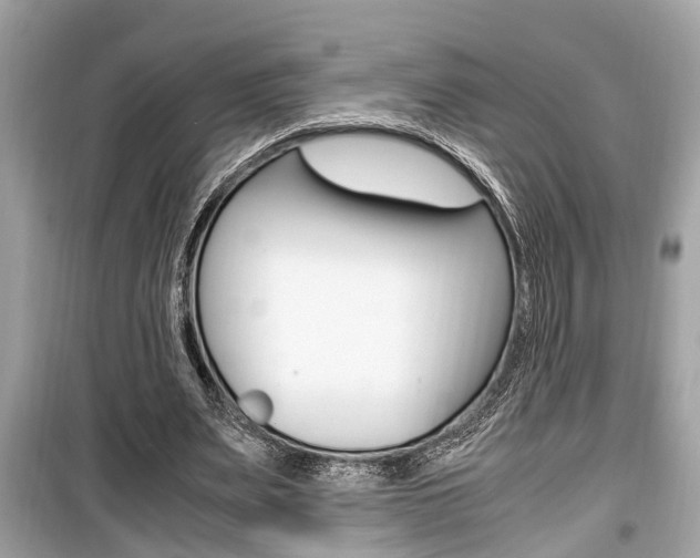X0000099930487200805231002