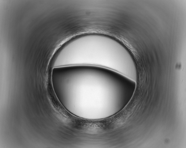 X0000099930488200805231002