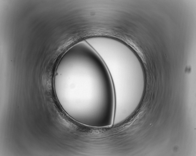 X0000099930489200805231002