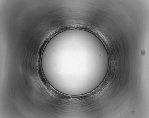 X0000099930490200805231002